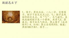 ڼԼôѧΧ,Χô