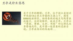 兰亭,兰亭是什么意思