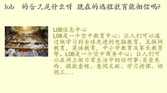 lob,lob    ĺʲôѽ  ڵԶ̽?