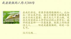 500,500