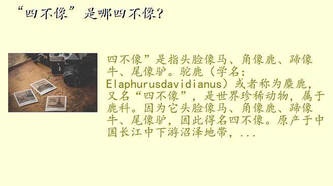 “四不像”是哪四不像?