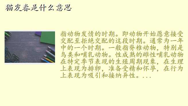猫发春是什么意思