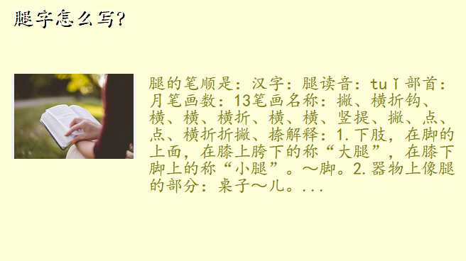 腿字怎么写?