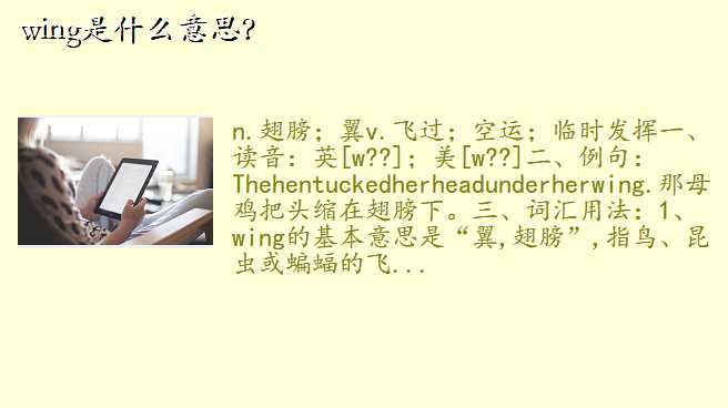 wing是什么意思?